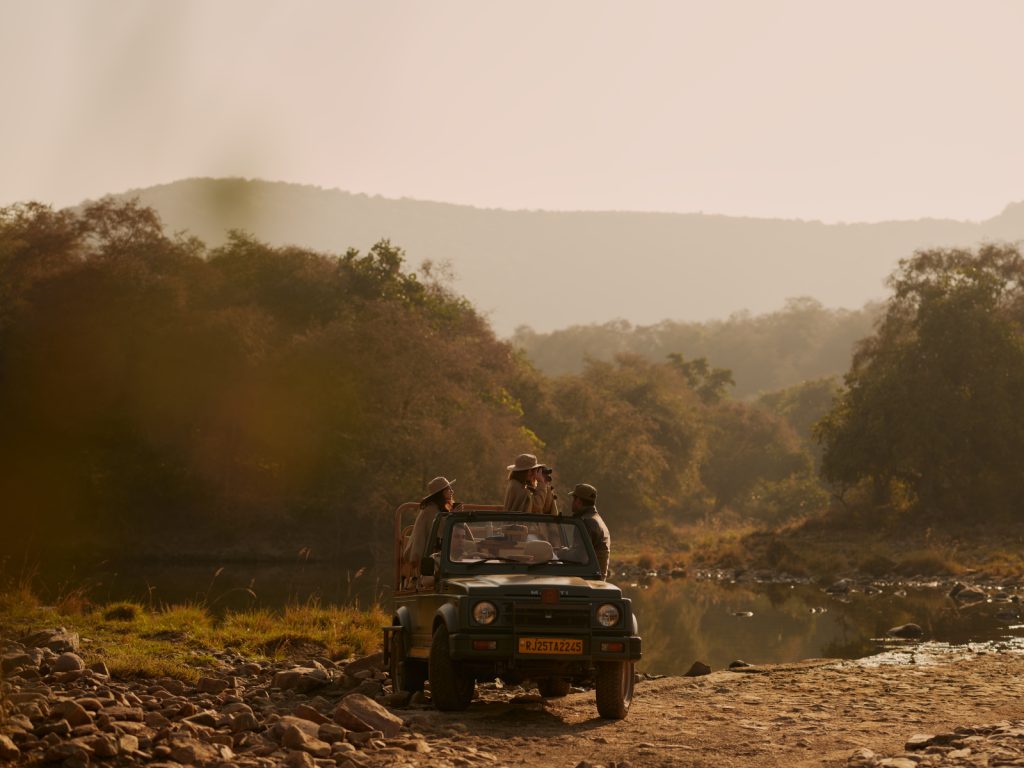 India Jeep safari